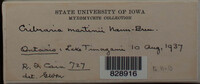 Image Associated With the Occurence
